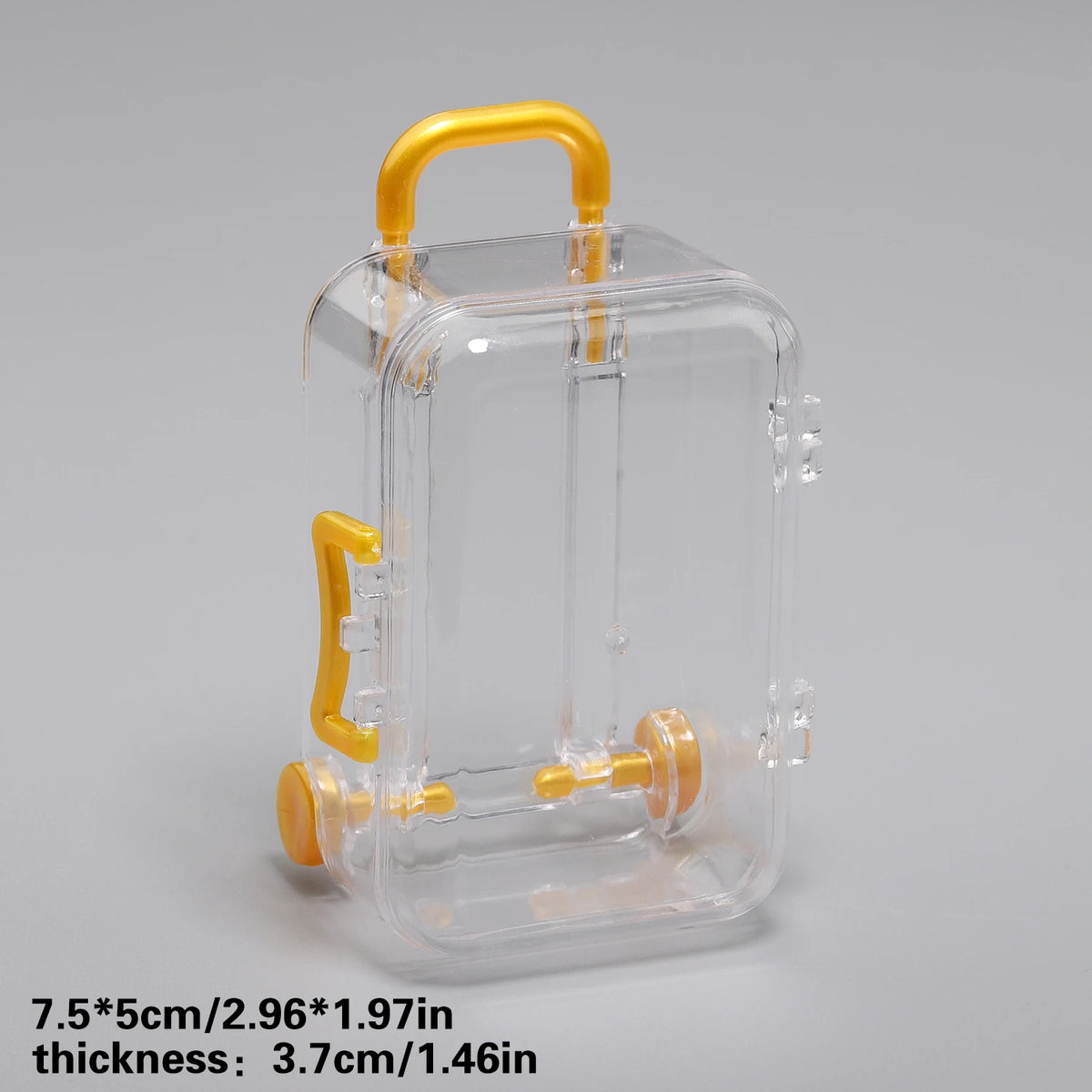 Transparent Mini Suitcase Trolley Luggage