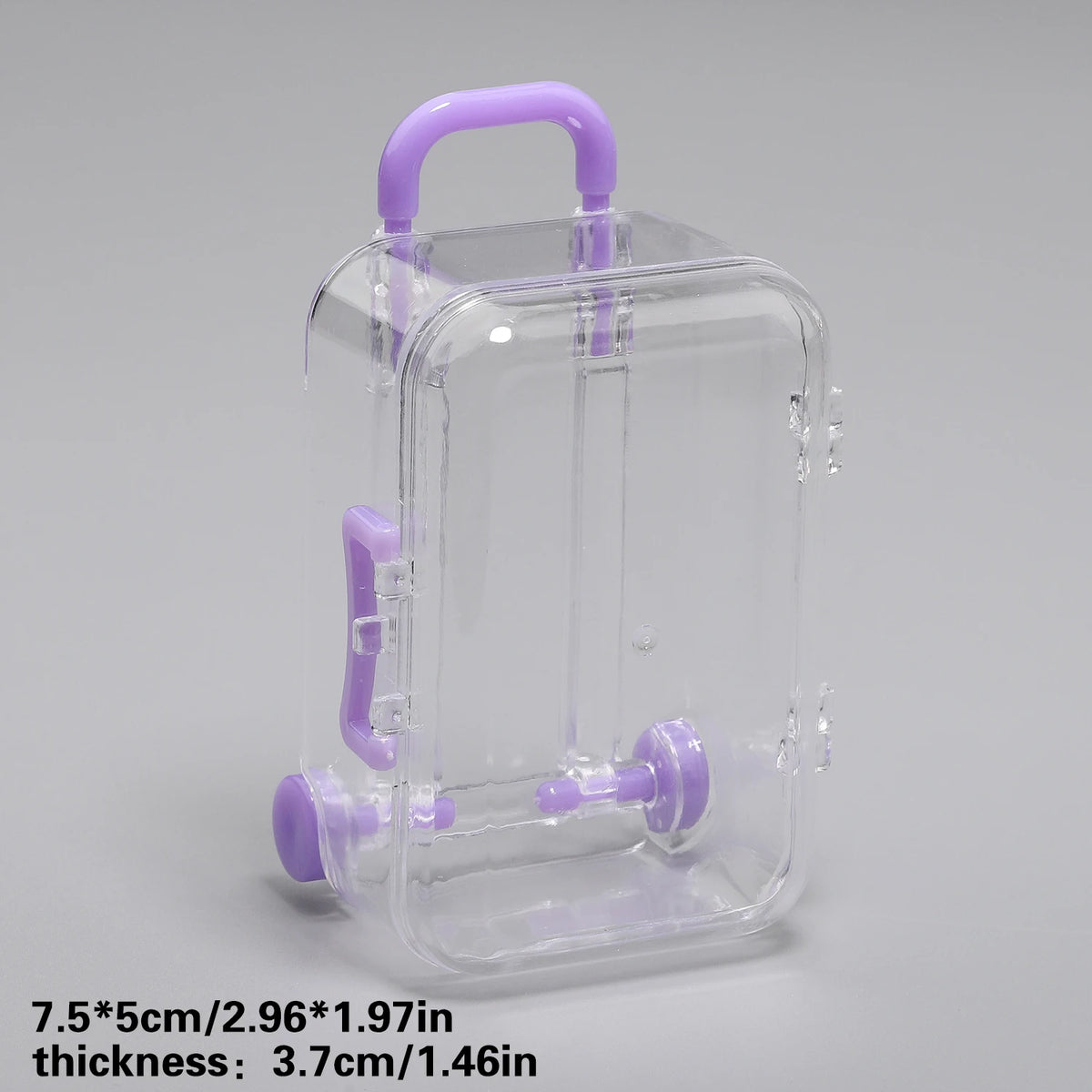 Transparent Mini Suitcase Trolley Luggage